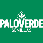 Palo Verde