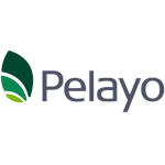 Pelayo