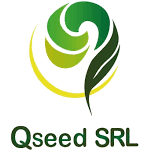 QSEED SRL